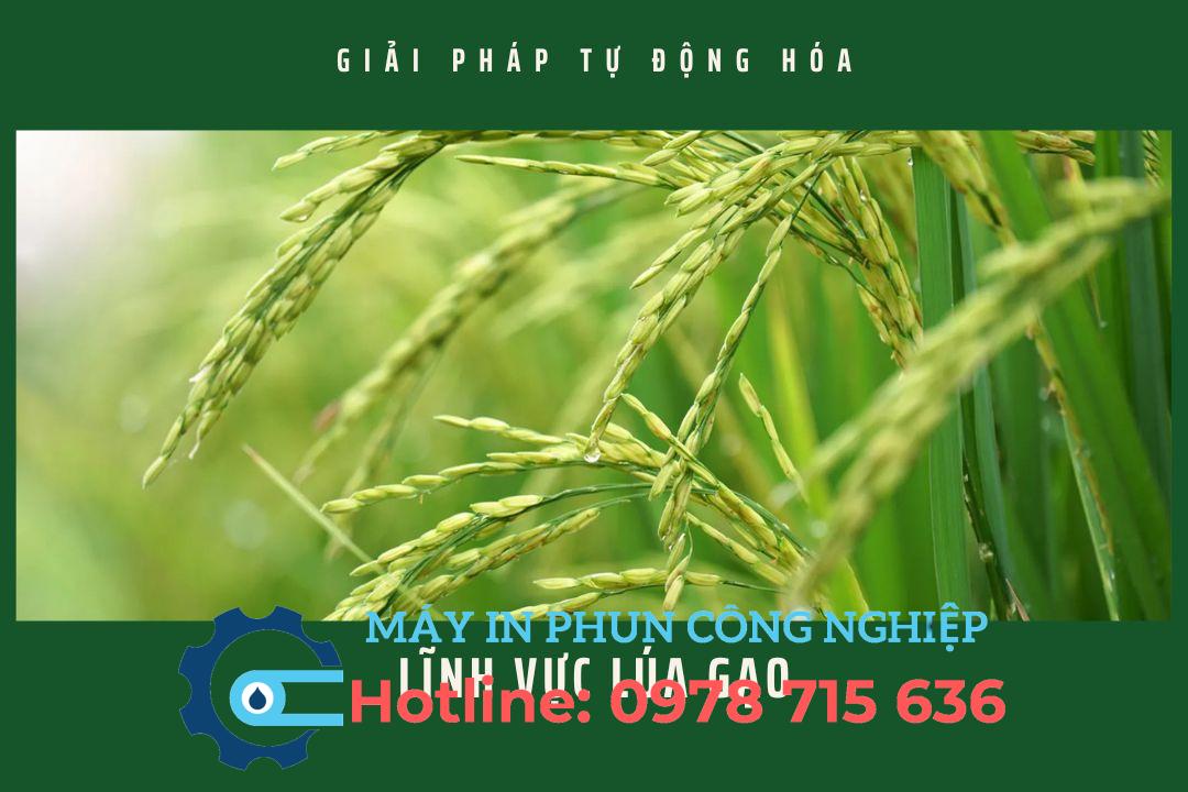 Giải pháp sản xuất lúa gạo công nghiệp 1 Giải pháp sản xuất lúa gạo tự động hóa